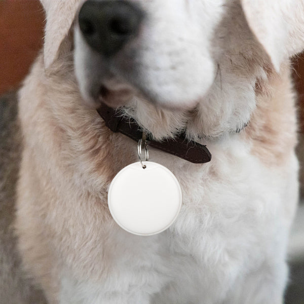 Mini rastreador GPS para mascotas - Localizador tipo llavero anti-pérdida