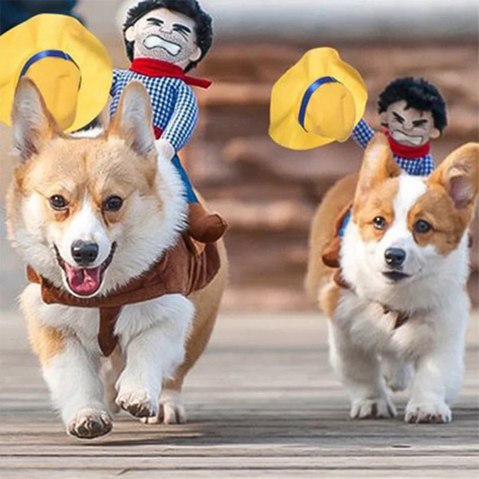 Disfraz de Halloween de vaquero para perro: divertido atuendo para mascota