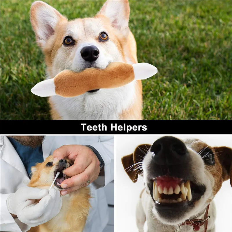 Paquete de juguetes de peluche chirriantes para perro – Multipack