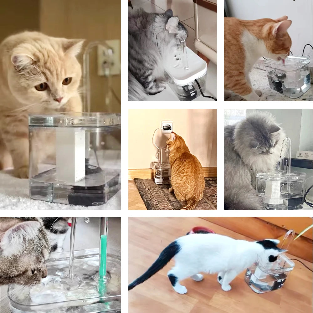 Fuente de agua para gatos con filtrado automático – Bomba silenciosa