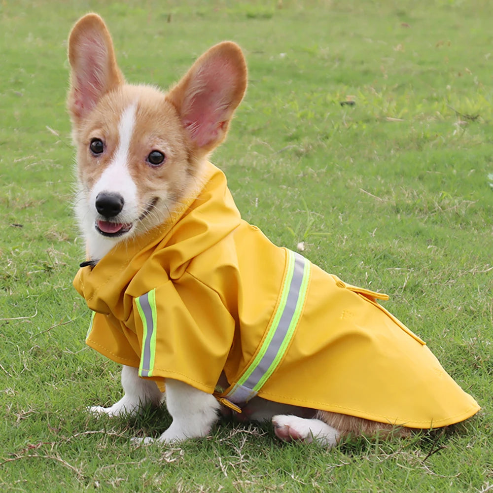 Chubasquero impermeable con capucha para perro – Estilo capa