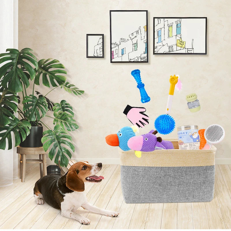 Paquete de juguetes de peluche chirriantes para perro – Multipack