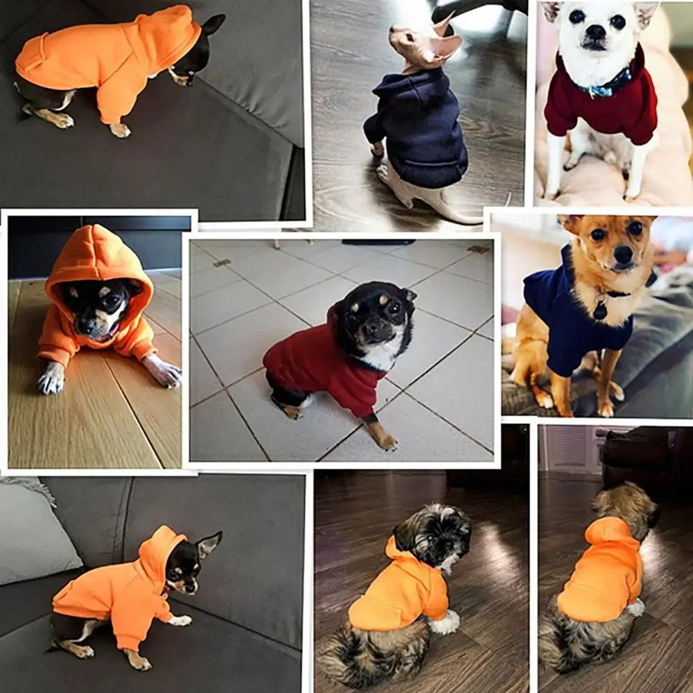 Sudadera acogedora de invierno para perros: jersey suave para perros pequeños y medianos