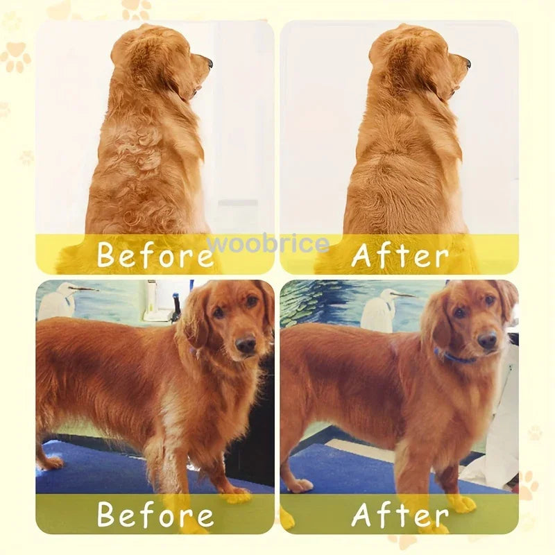 Cepillo de vapor 3 en 1 para mascotas: Peine de masaje con spray para gatos y perros