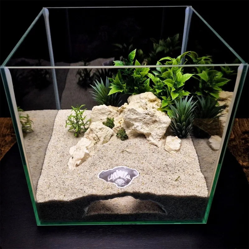 Decoración de acuario con forma de cabeza de Medusa