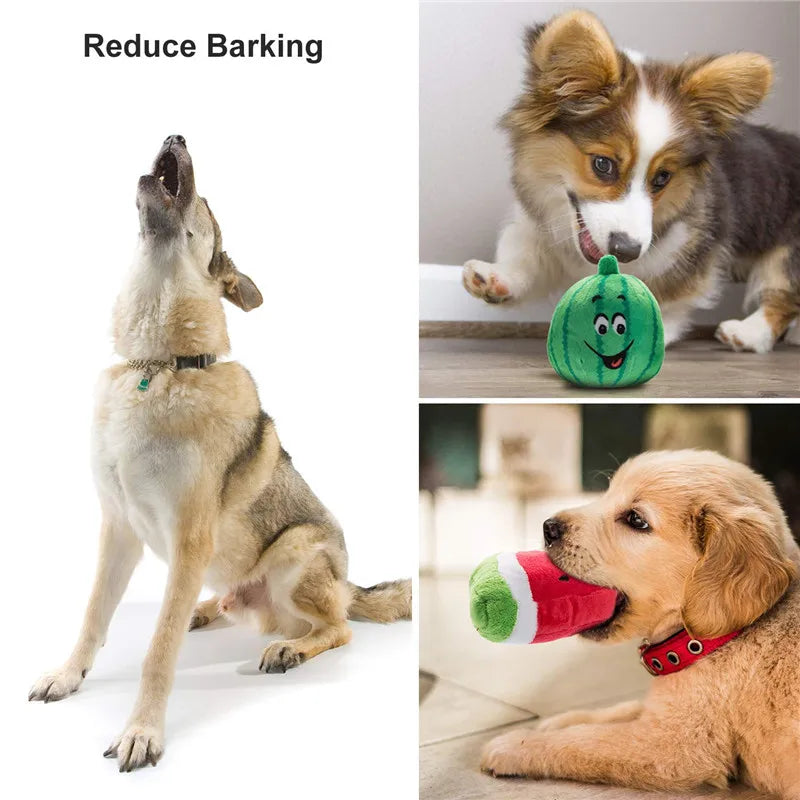 Paquete de juguetes de peluche chirriantes para perro – Multipack