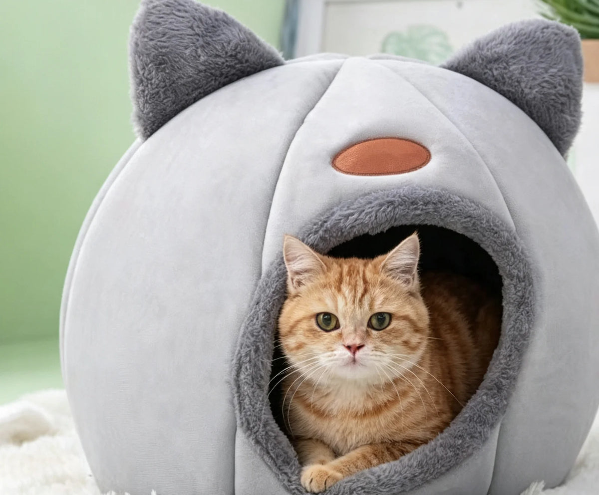 Cat ear cave bed