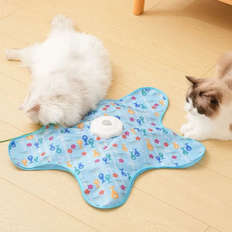 Interactive Hide-and-Seek Cat Toy