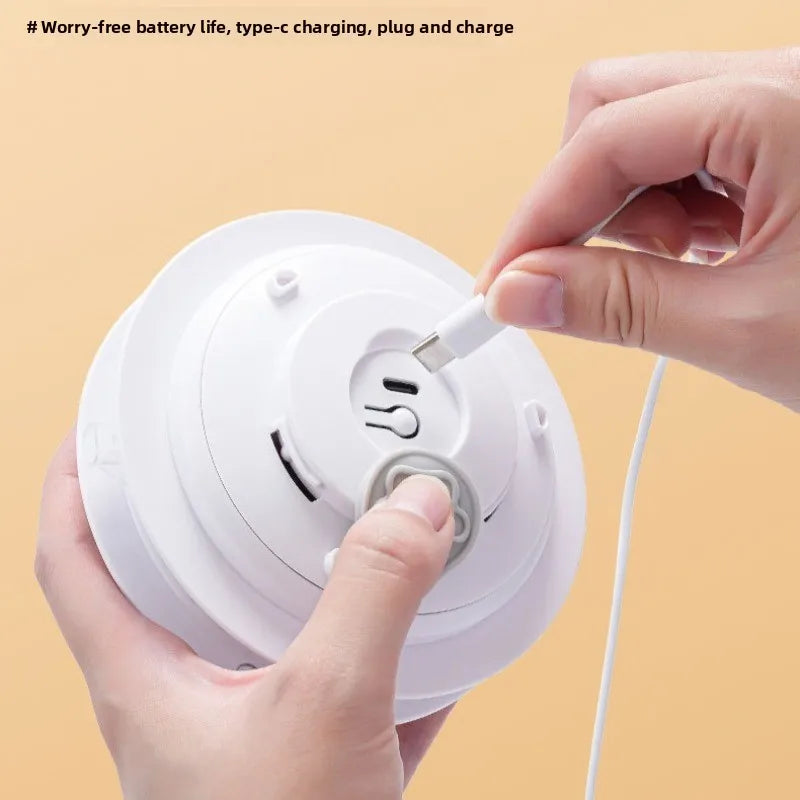Interactive Hide-and-Seek Cat Toy