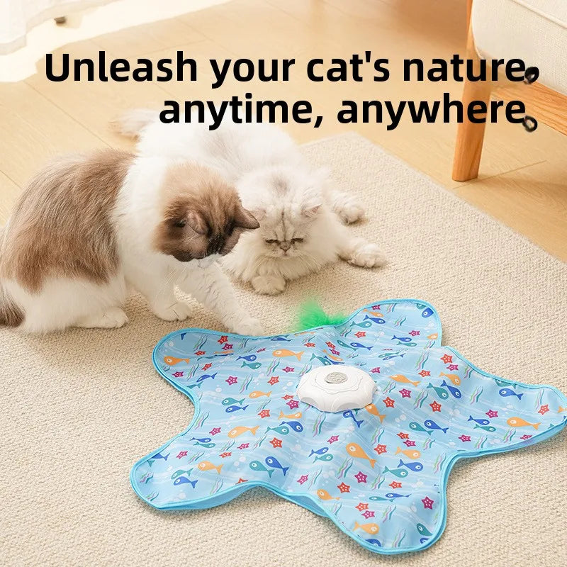 Interactive Hide-and-Seek Cat Toy