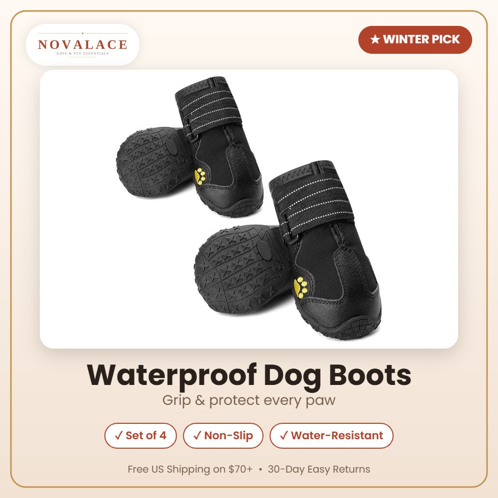 NOVALACE Premium