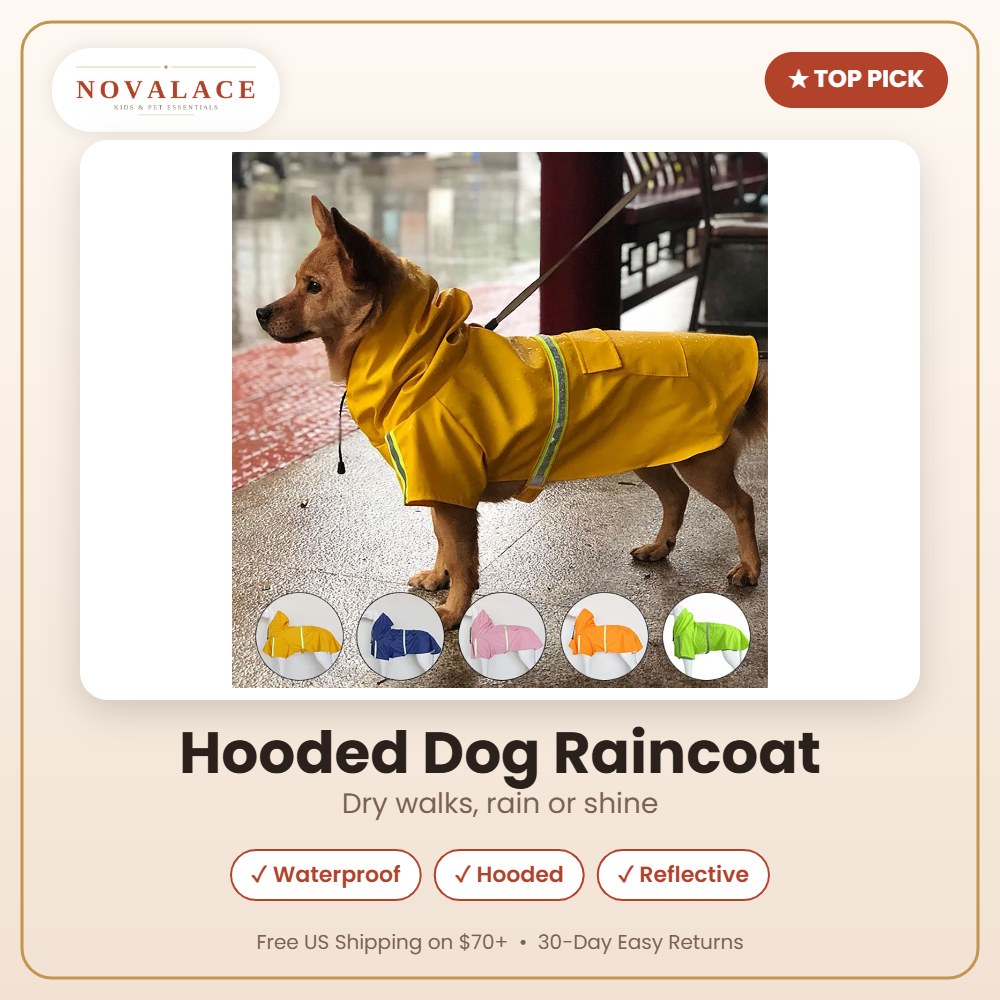 NOVALACE Premium